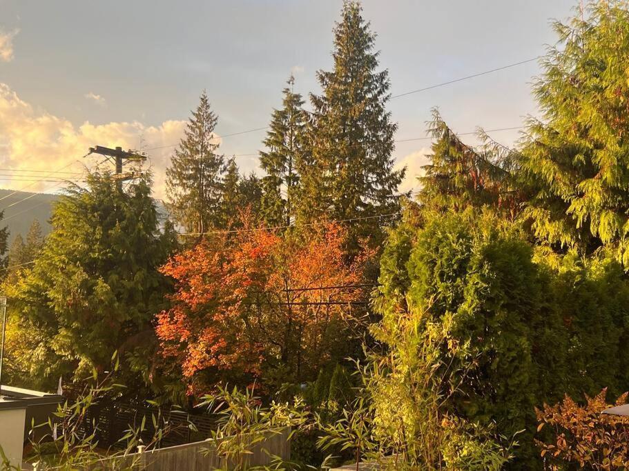 'Canyon Heights' Retreat North Vancouver Exterior foto